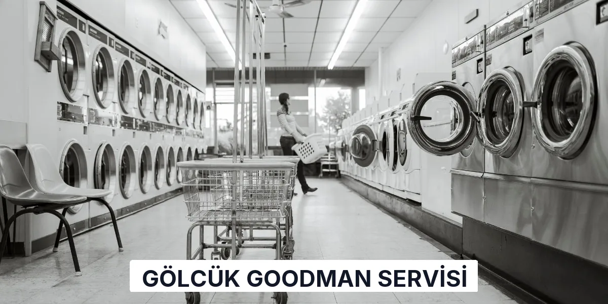 Gölcük Goodman Servisi
